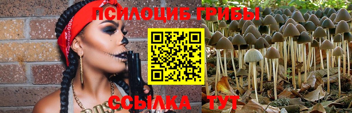 Новоалтайск  Псилоцибиновые грибы Magic Shrooms  Галлюциногенные грибы мицелий  Вход с VPN 